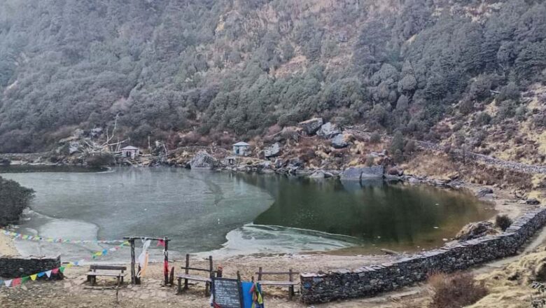 किरात समुदायको आस्थाको केन्द्र ‘साल्पा–सिलिचुङ’ क्षेत्रमा मुन्दुमी बिरुवा रोपियो