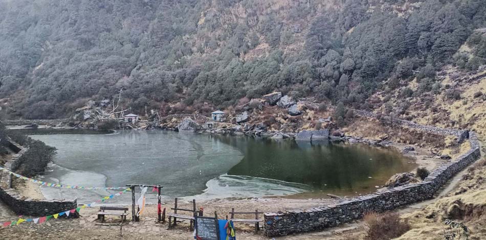 किरात समुदायको आस्थाको केन्द्र ‘साल्पा–सिलिचुङ’ क्षेत्रमा मुन्दुमी बिरुवा रोपियो