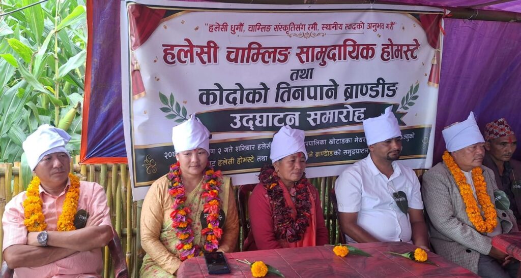 हलेसीमा चाम्लिङ सामुदायिक होम–स्टे : ब्रान्डिङ गरिएको कोदोको रक्सी बिक्री सुरु